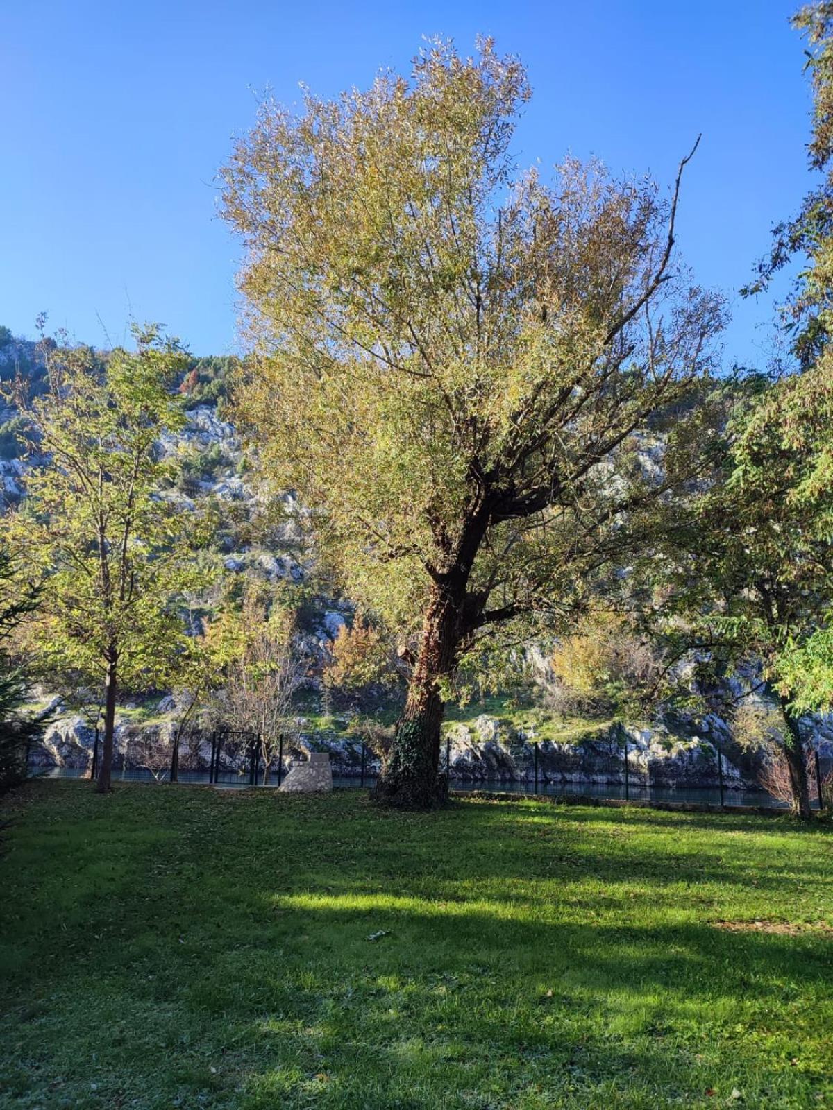 Apartman Maida Blagaj Εξωτερικό φωτογραφία